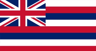 Flagge Hawaii